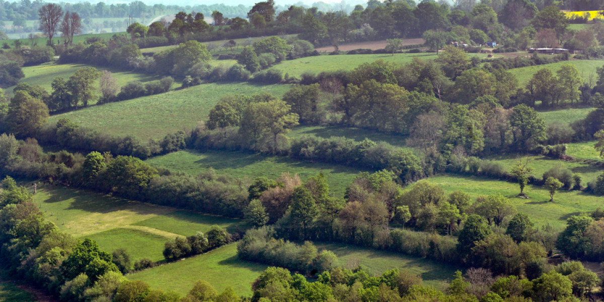 bocage laurent mignaux